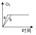 图片_x0020_100016