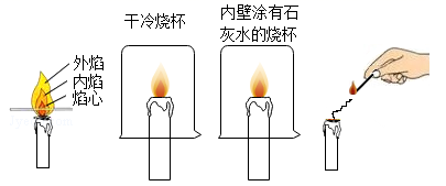 图片_x0020_644224846