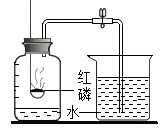 图片_x0020_1158542481
