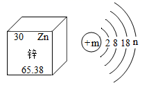图片_x0020_100010