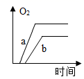 图片_x0020_100018