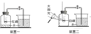 图片_x0020_100012