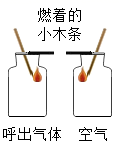 图片_x0020_100009