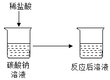 图片_x0020_1942592321