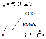 图片_x0020_100007