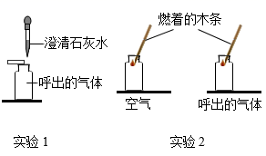 图片_x0020_1270176236