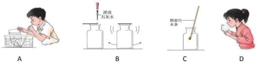 图片_x0020_100015