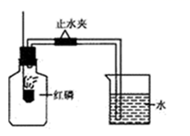 图片_x0020_100020