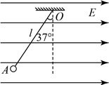 图片_x0020_100023