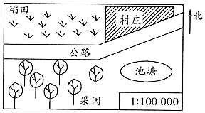 图片_x0020_100016