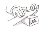 图片_x0020_100001