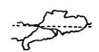 图片_x0020_100008