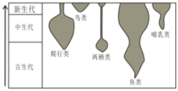 图片_x0020_100010