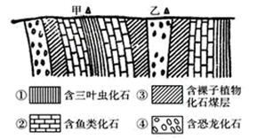 图片_x0020_100010