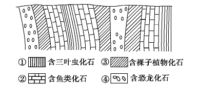 图片_x0020_100009