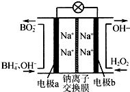 图片_x0020_13