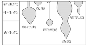 图片_x0020_100006