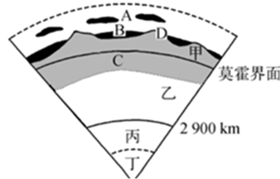 图片_x0020_100005