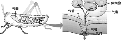 图片_x0020_100014