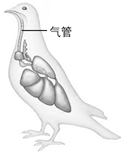 图片_x0020_100015