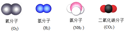 图片_x0020_100006