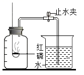 图片_x0020_1704563263