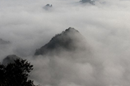 图片_x0020_100018