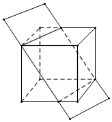 图片_x0020_100008