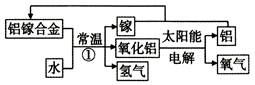 图片_x0020_100019