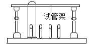 图片_x0020_100003