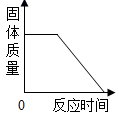 图片_x0020_100016