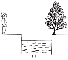 图片_x0020_100034
