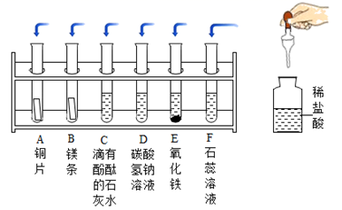 图片_x0020_100017