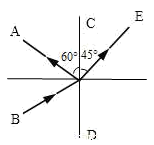 图片_x0020_100007
