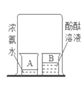图片_x0020_100008