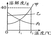 图片_x0020_100021