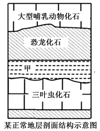 图片_x0020_100004
