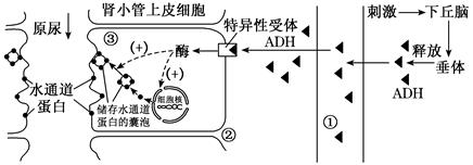 图片_x0020_100015