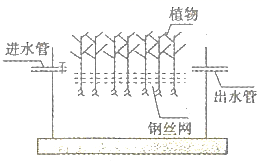 图片_x0020_887097295