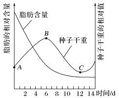 图片_x0020_100002