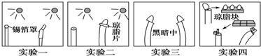 图片_x0020_1951107041