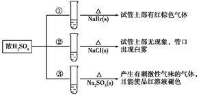图片_x0020_100012