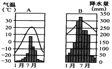 图片_x0020_393584187