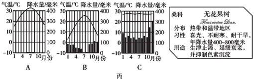 图片_x0020_100031