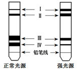 图片_x0020_100001