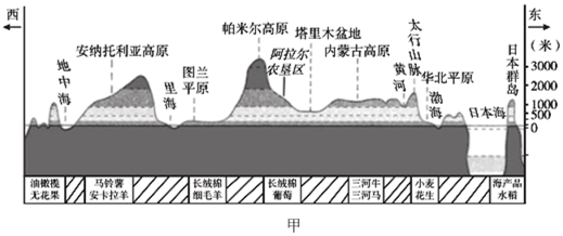 图片_x0020_100029