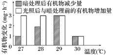 图片_x0020_100011