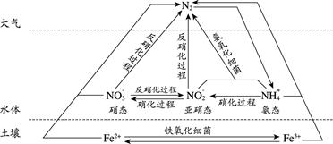 图片_x0020_176931628