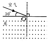 图片_x0020_100014