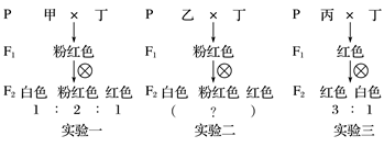 图片_x0020_100019